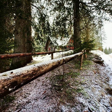 Chalet Stara Jelka Pokljuka Zgornje Gorje ภายนอก รูปภาพ