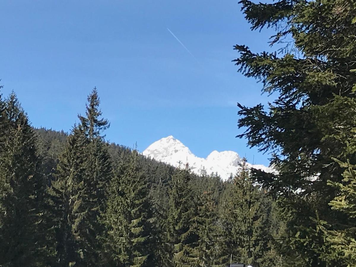 Chalet Stara Jelka Pokljuka Zgornje Gorje ภายนอก รูปภาพ
