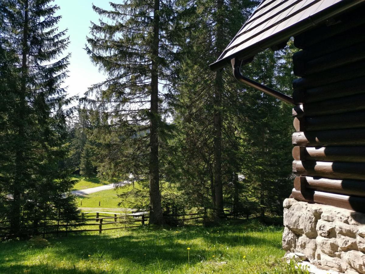 Chalet Stara Jelka Pokljuka Zgornje Gorje ภายนอก รูปภาพ