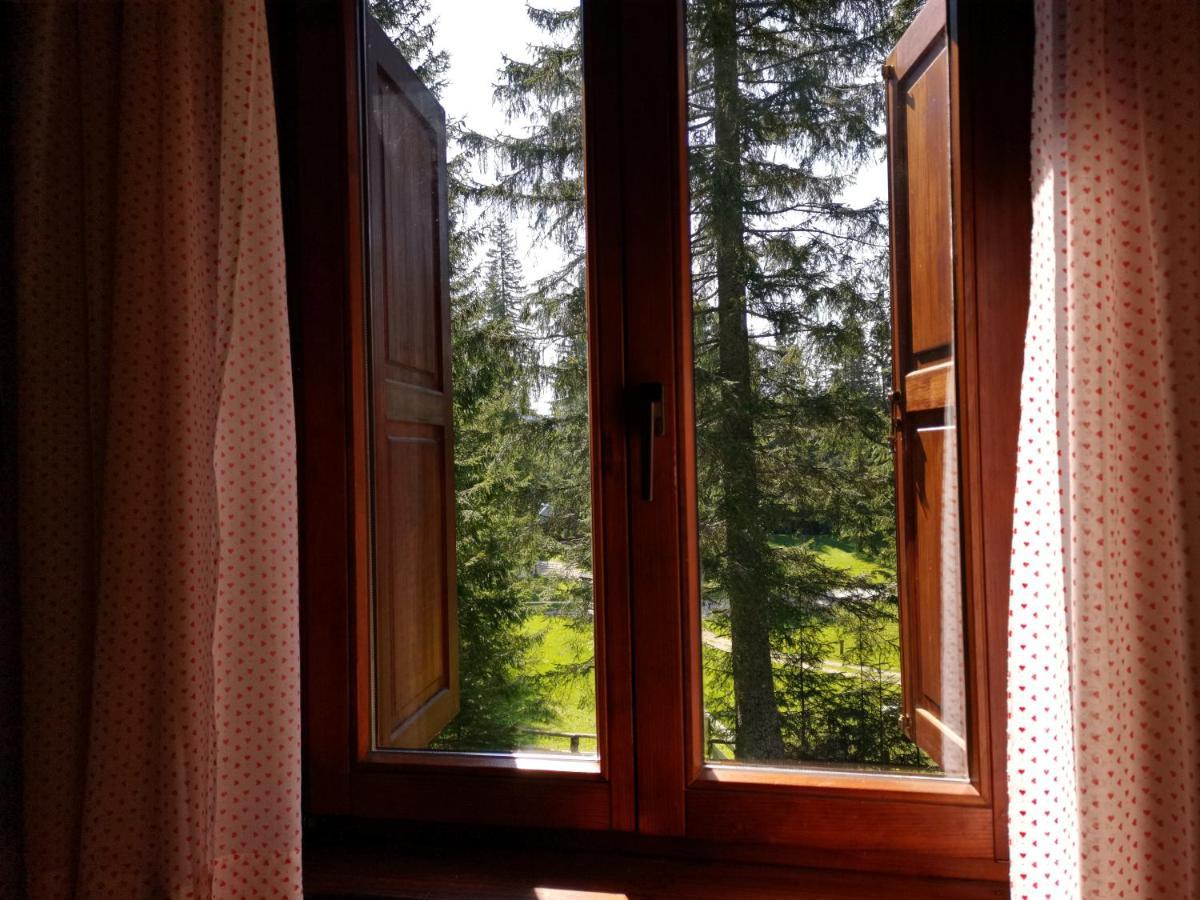 Chalet Stara Jelka Pokljuka Zgornje Gorje ภายนอก รูปภาพ