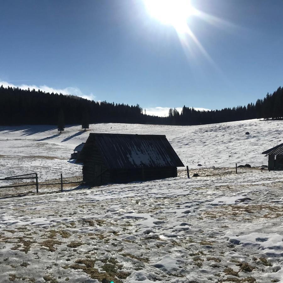 Chalet Stara Jelka Pokljuka Zgornje Gorje ภายนอก รูปภาพ