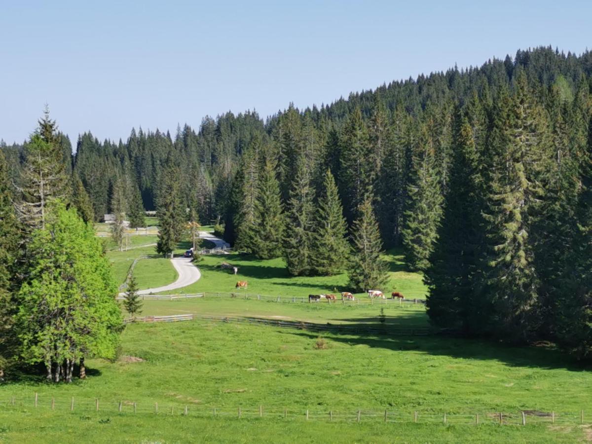Chalet Stara Jelka Pokljuka Zgornje Gorje ภายนอก รูปภาพ