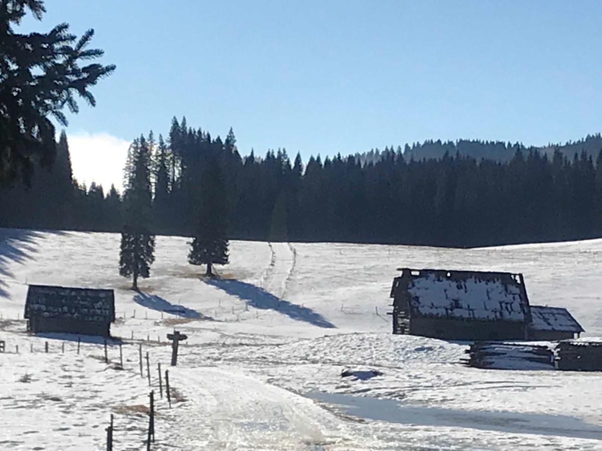 Chalet Stara Jelka Pokljuka Zgornje Gorje ภายนอก รูปภาพ