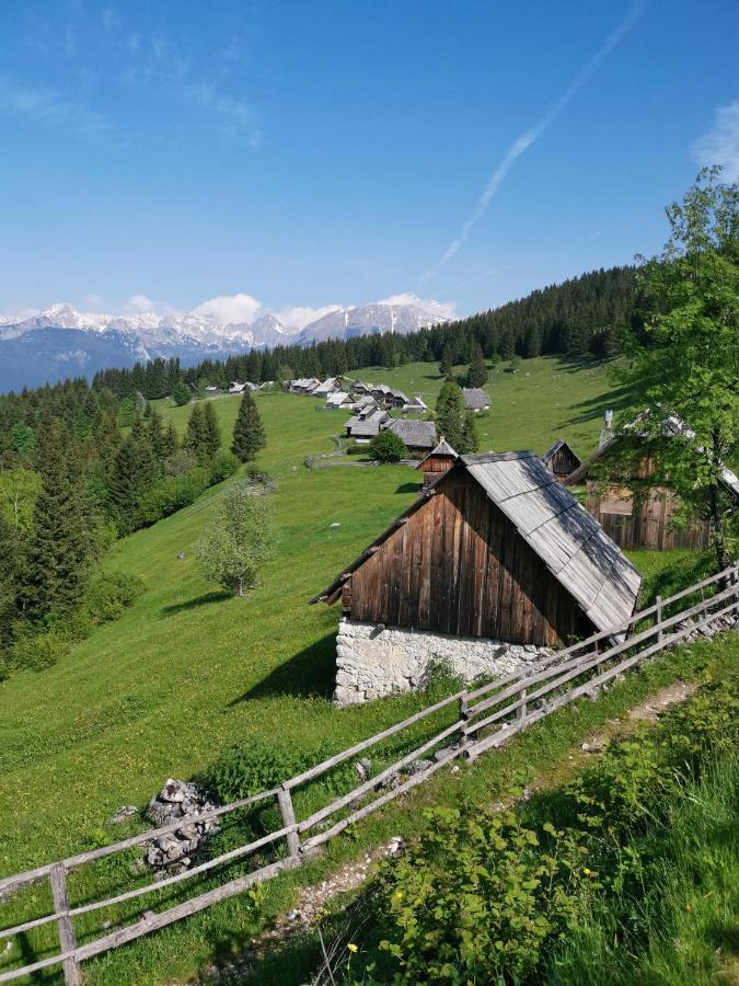 Chalet Stara Jelka Pokljuka Zgornje Gorje ภายนอก รูปภาพ
