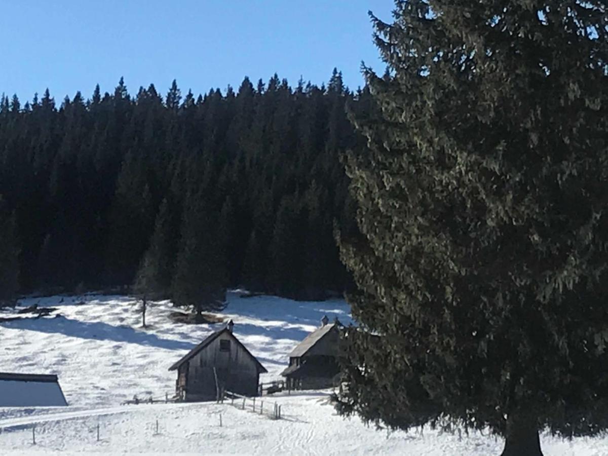 Chalet Stara Jelka Pokljuka Zgornje Gorje ภายนอก รูปภาพ
