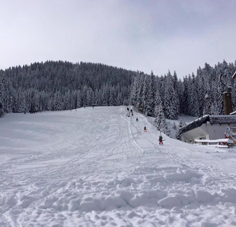 Chalet Stara Jelka Pokljuka Zgornje Gorje ภายนอก รูปภาพ