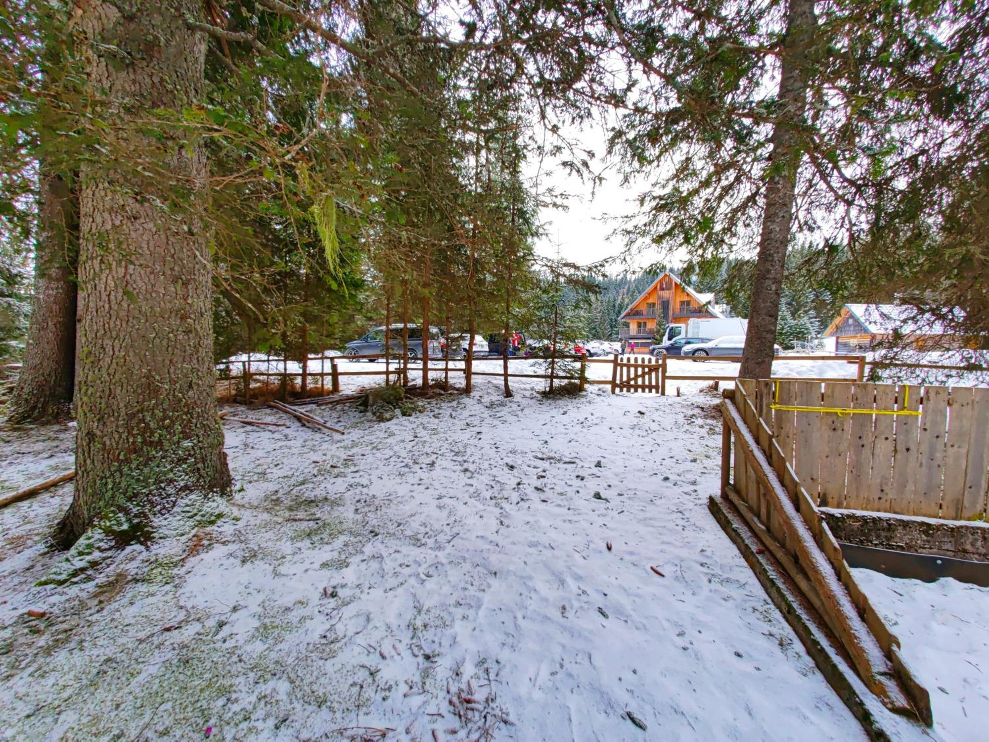 Chalet Stara Jelka Pokljuka Zgornje Gorje ภายนอก รูปภาพ