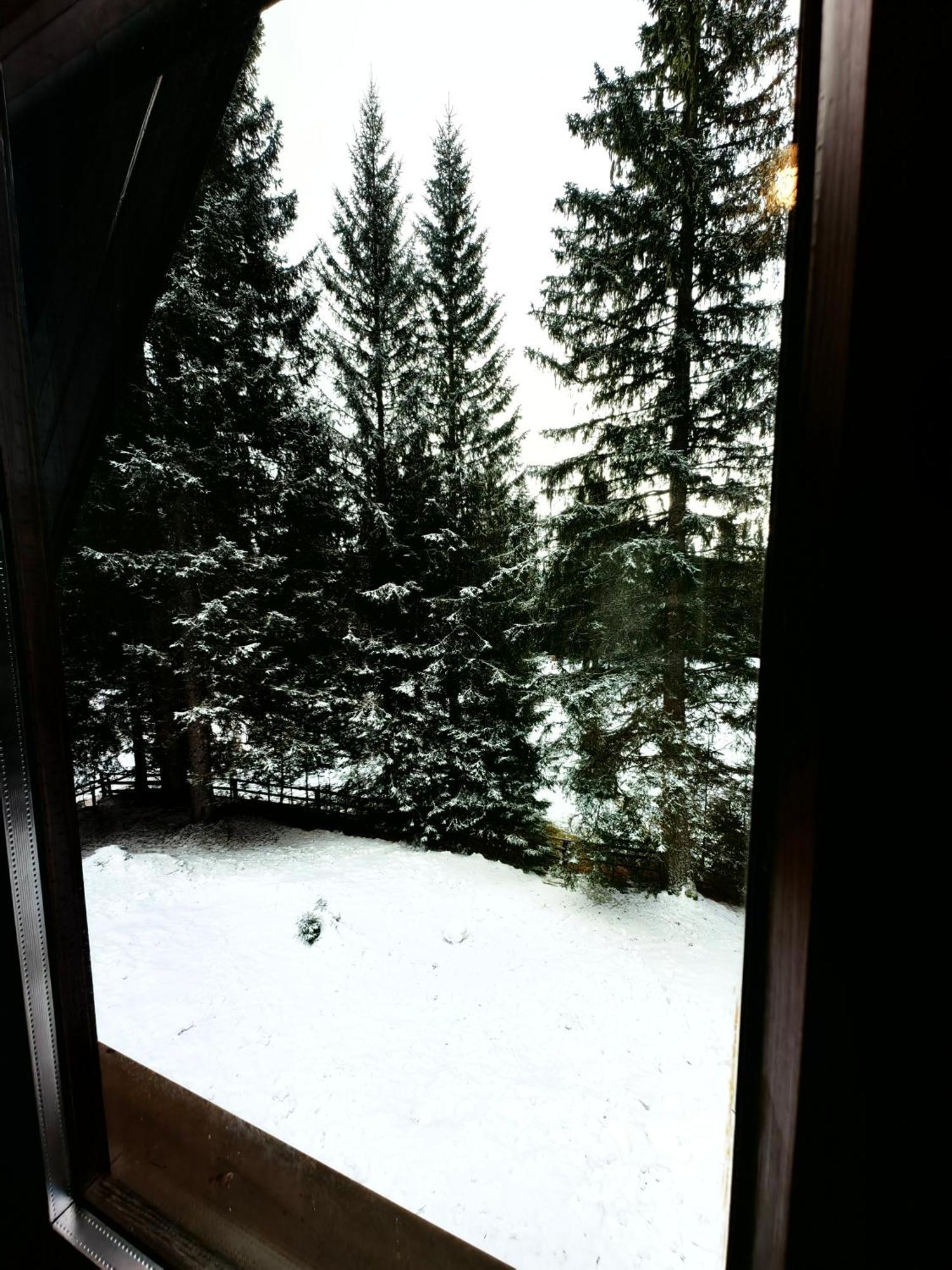 Chalet Stara Jelka Pokljuka Zgornje Gorje ภายนอก รูปภาพ