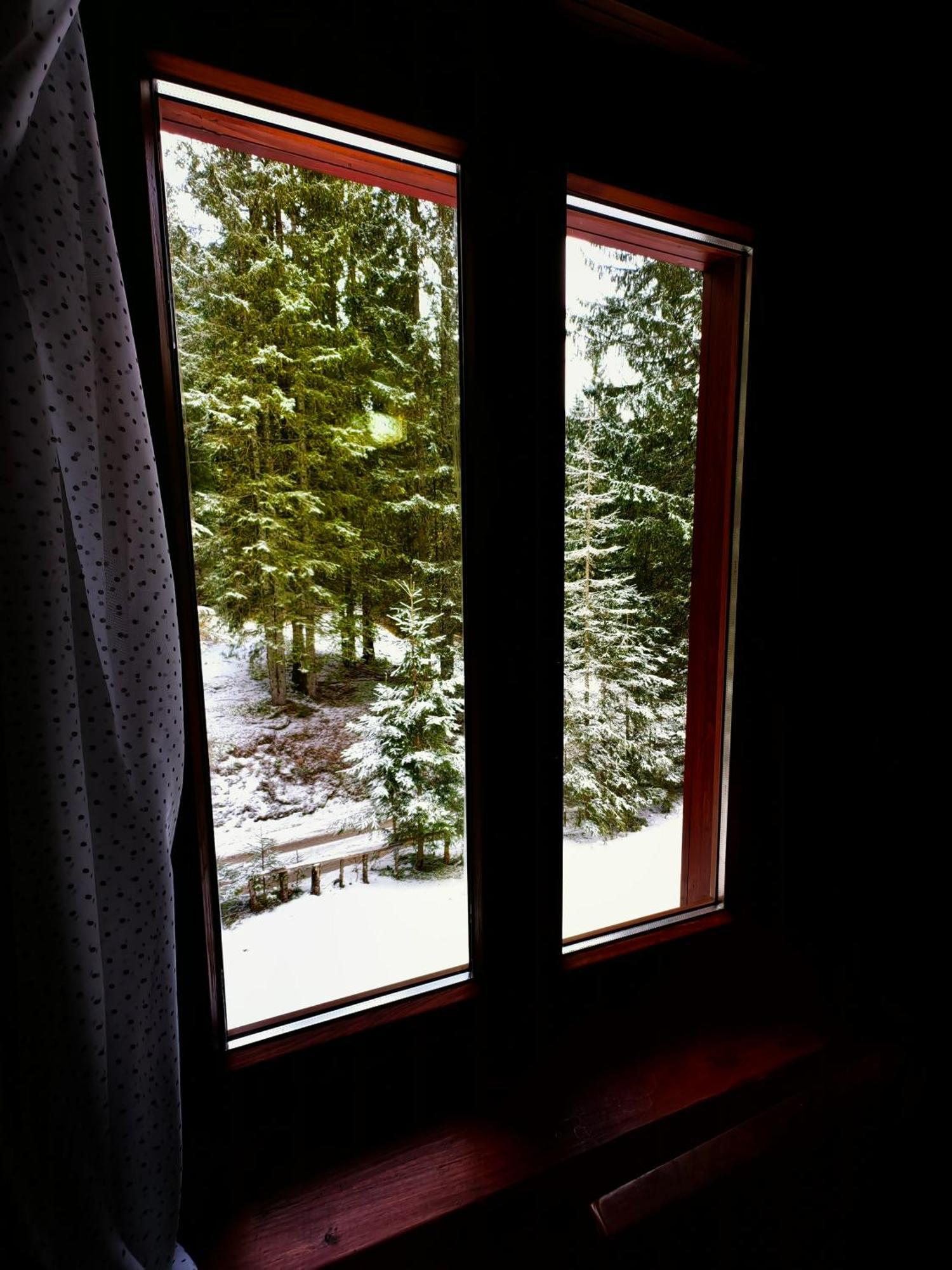 Chalet Stara Jelka Pokljuka Zgornje Gorje ภายนอก รูปภาพ