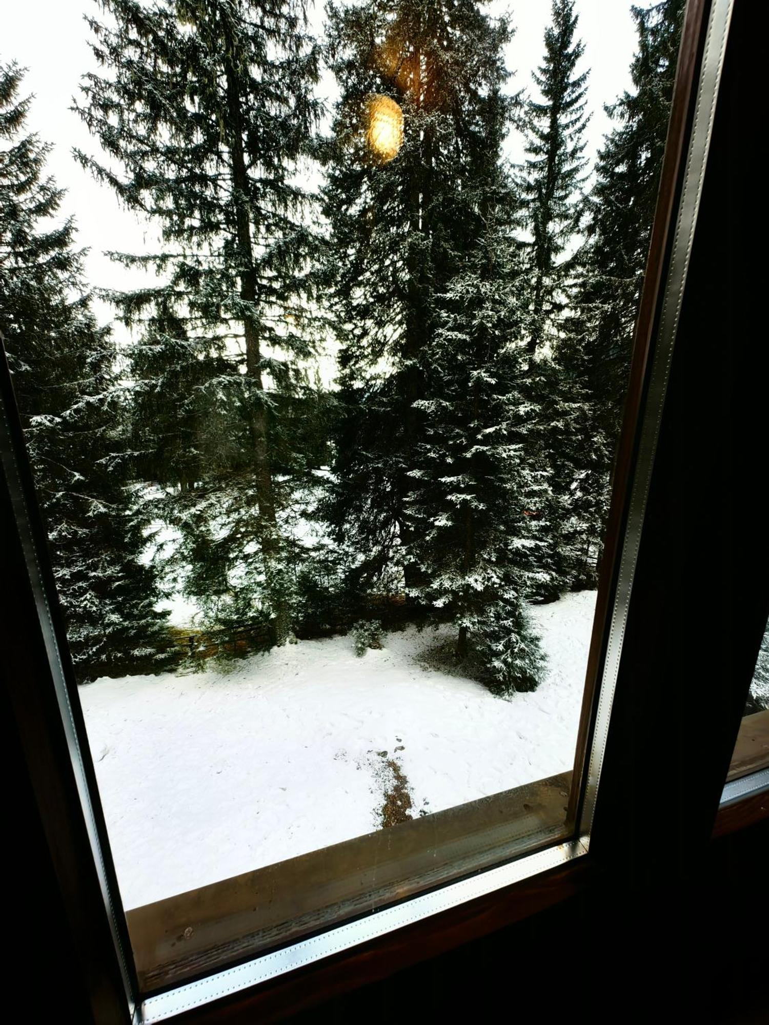 Chalet Stara Jelka Pokljuka Zgornje Gorje ภายนอก รูปภาพ